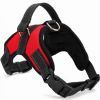 SureStep No‑Pull Harness