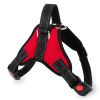 SureStep No‑Pull Harness