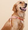 Touchdog 'Macaron' 2-in-1 Nylon Dog Harness and Leash