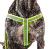 Reflective Stitched Easy Tension Leash and Harness Set