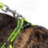 Reflective Stitched Easy Tension Leash and Harness Set