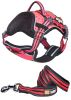 Helios Chest Compression Harness and Leash Set