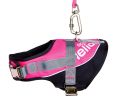 Helios Bark-Mudder 2-in-1 Adjustable Harness & Leash Set