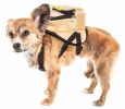Pet Life 'Teddy Tails' Animated Harness Backpack
