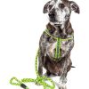 Reflective Stitched Easy Tension Leash and Harness Set