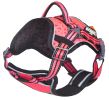 Helios Chest Compression Harness and Leash Set
